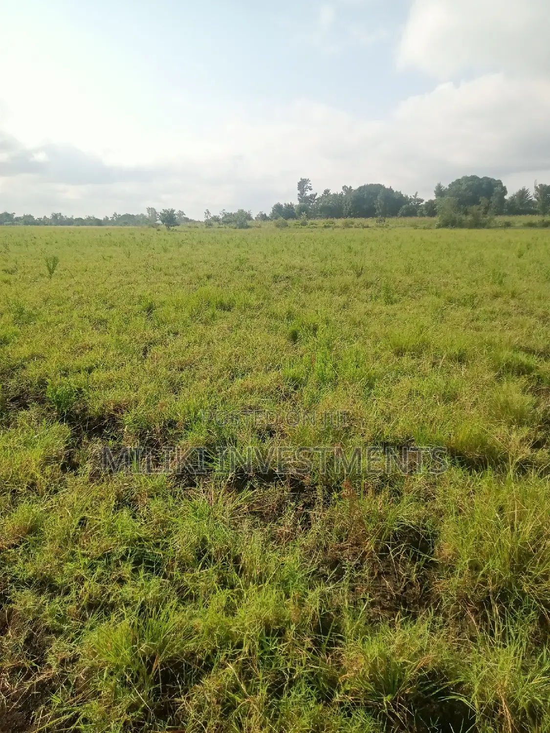 2 Acres of Land on Sale at Makutano
