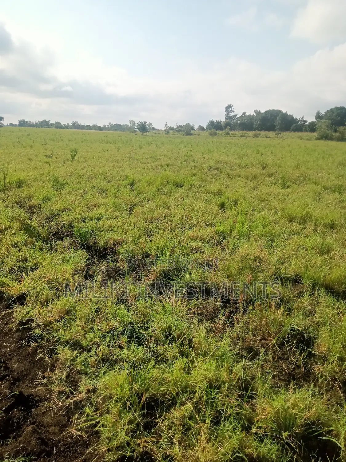 2 Acres of Land on Sale at Makutano