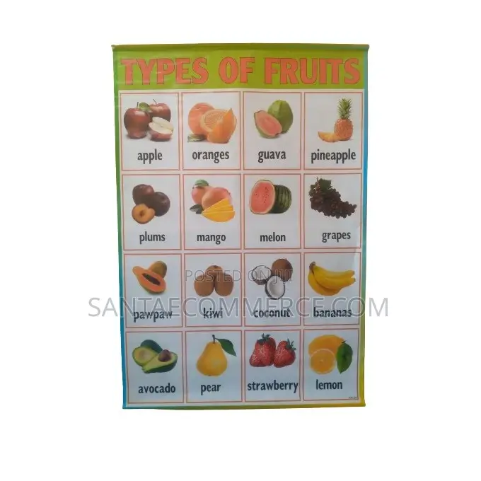Types of Fruits Educational Wall Chart