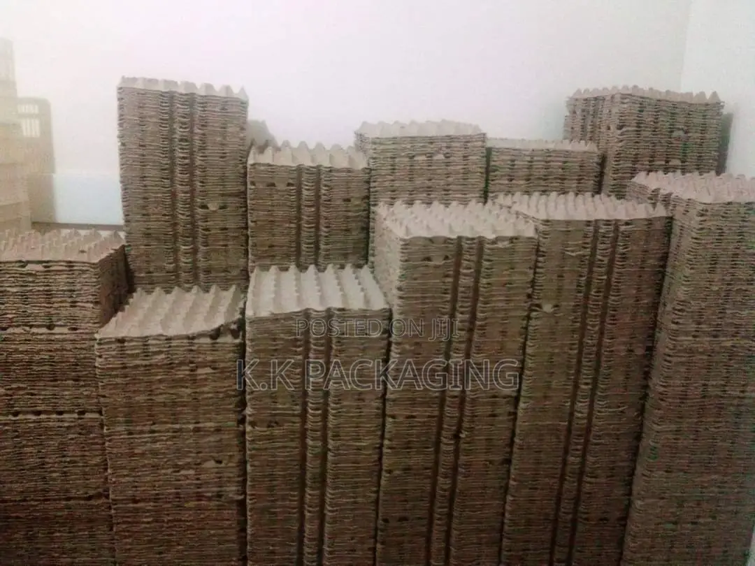 100pcs at 1500 Carton Trays