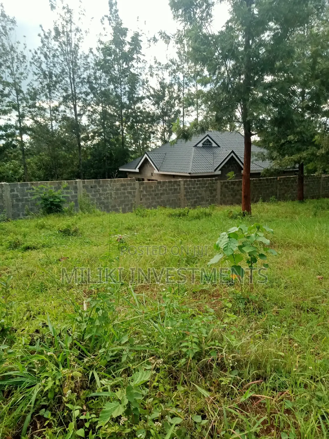 50 by 100 Plots on Sale at Kenol-Kaggia Road