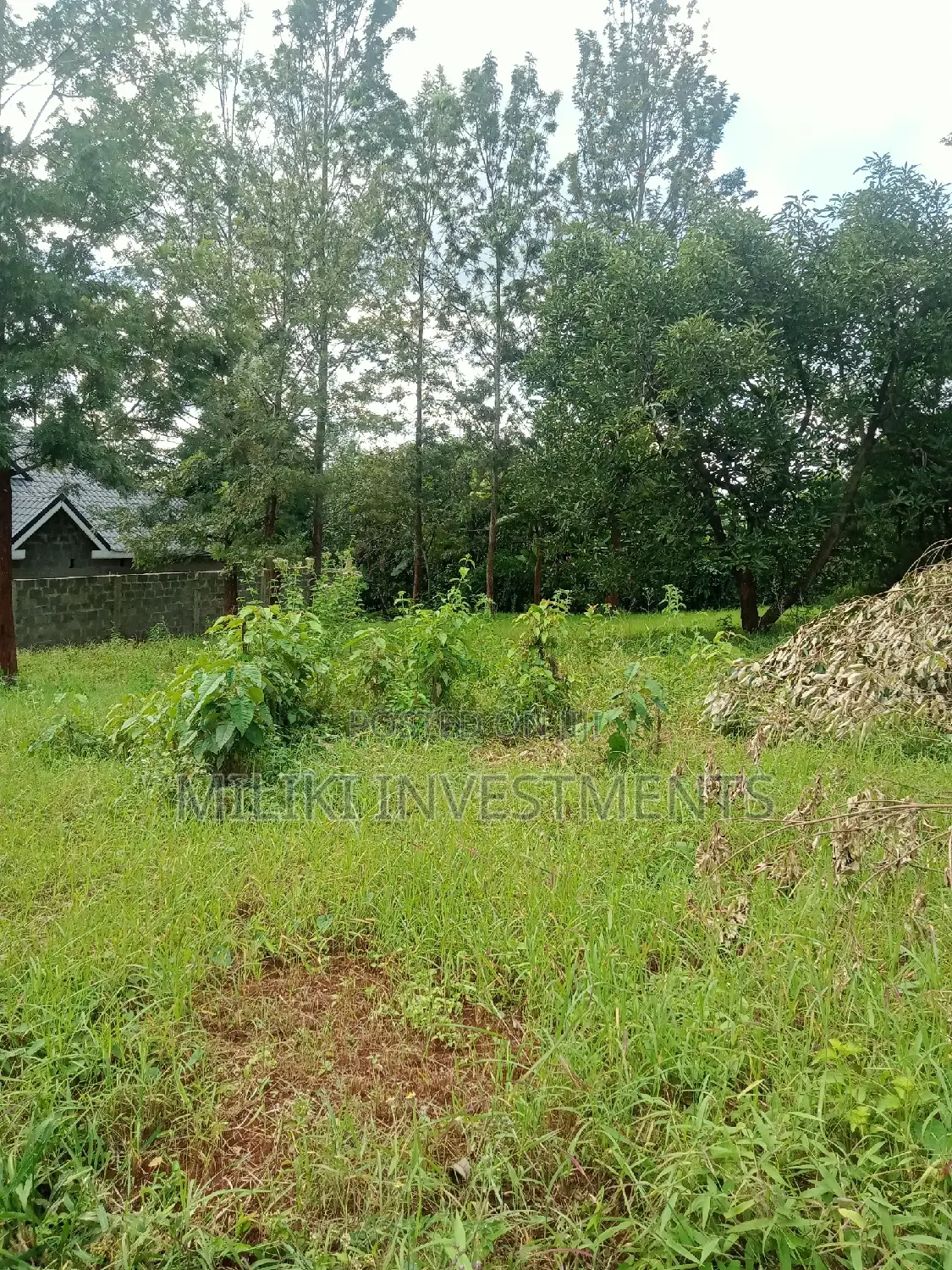 50 by 100 Plots on Sale at Kenol-Kaggia Road
