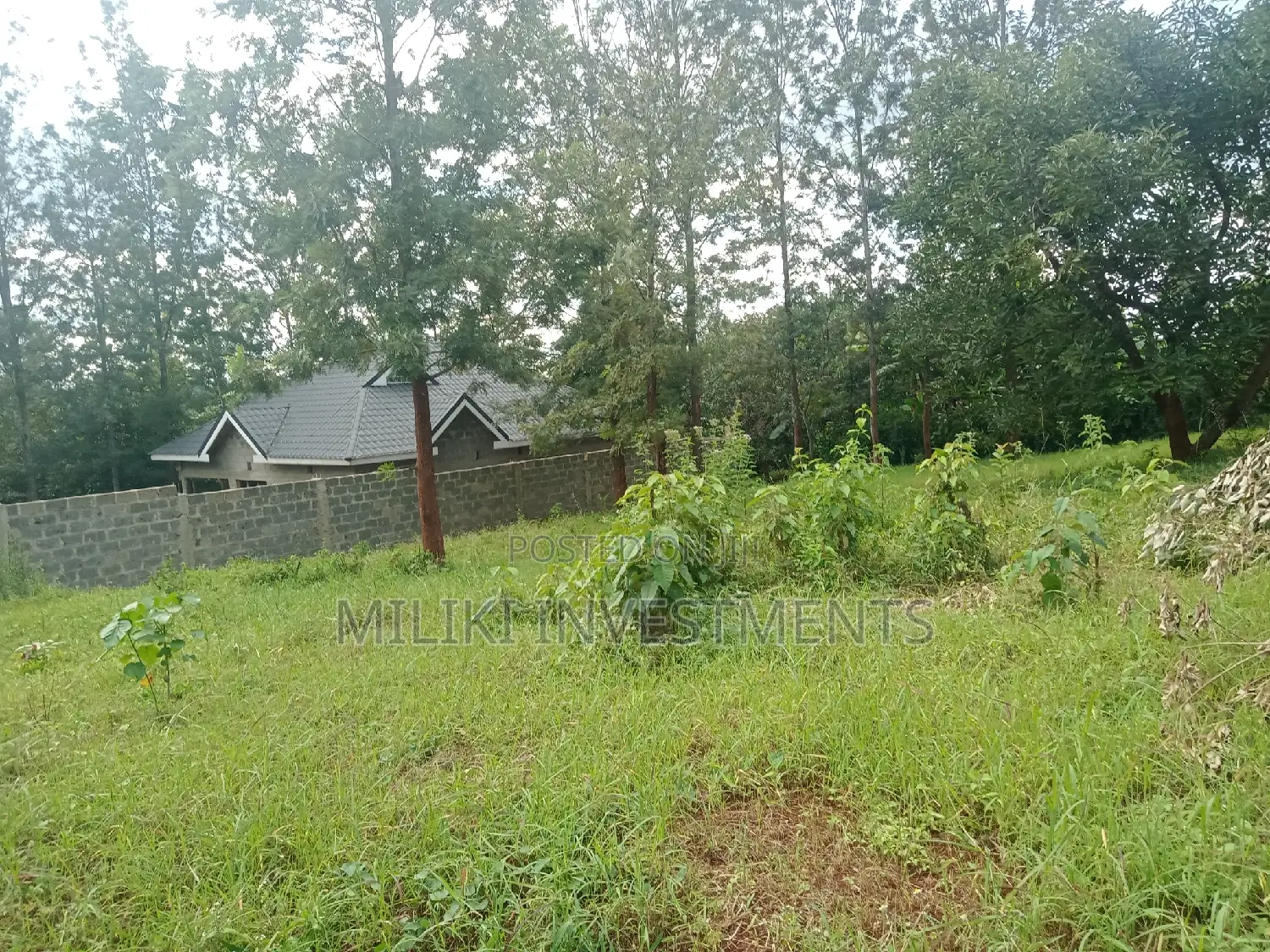 50 by 100 Plots on Sale at Kenol-Kaggia Road