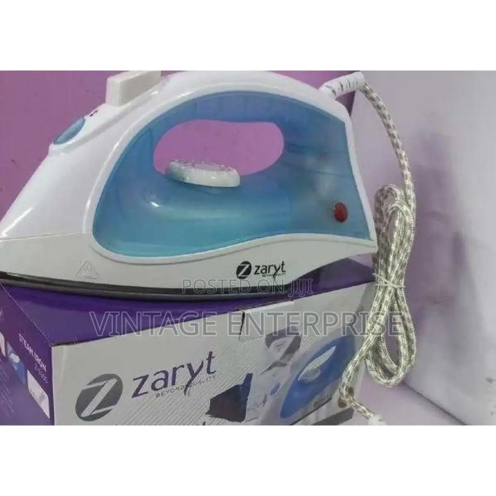 Zaryt Steam Iron Box '