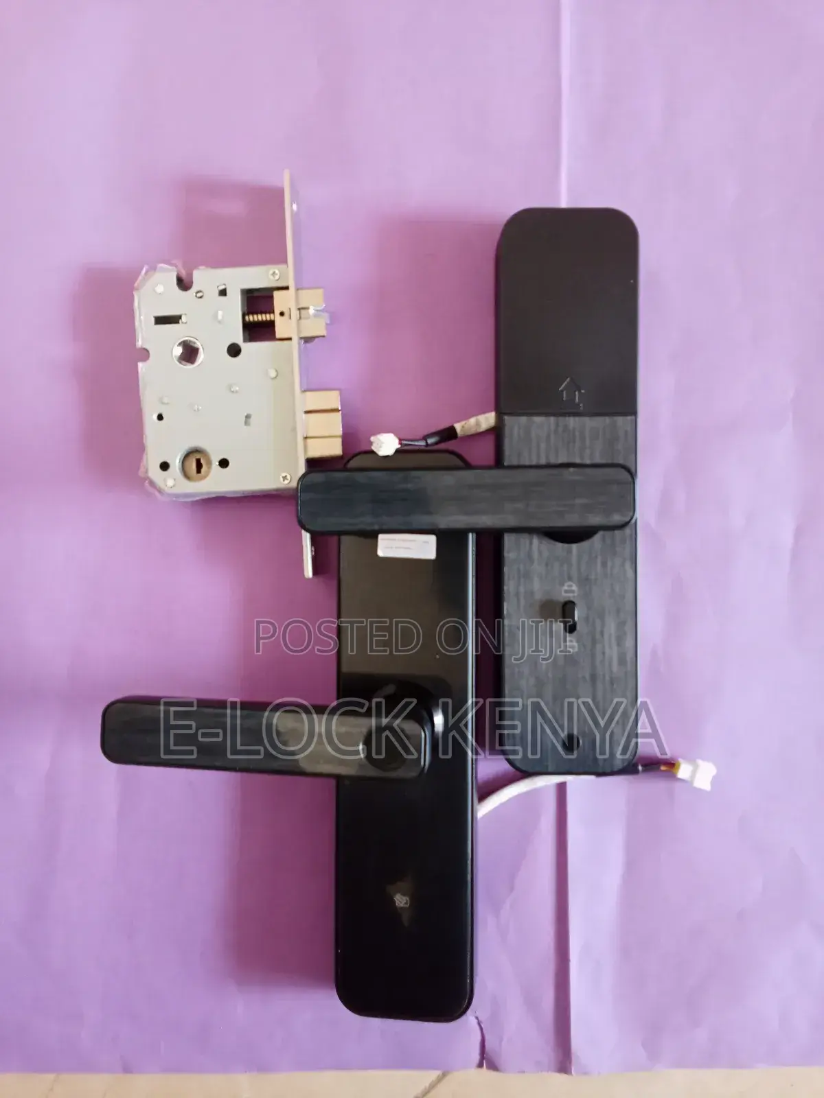 Key Free Entry.Smart Biometric Redefine Security Protocols