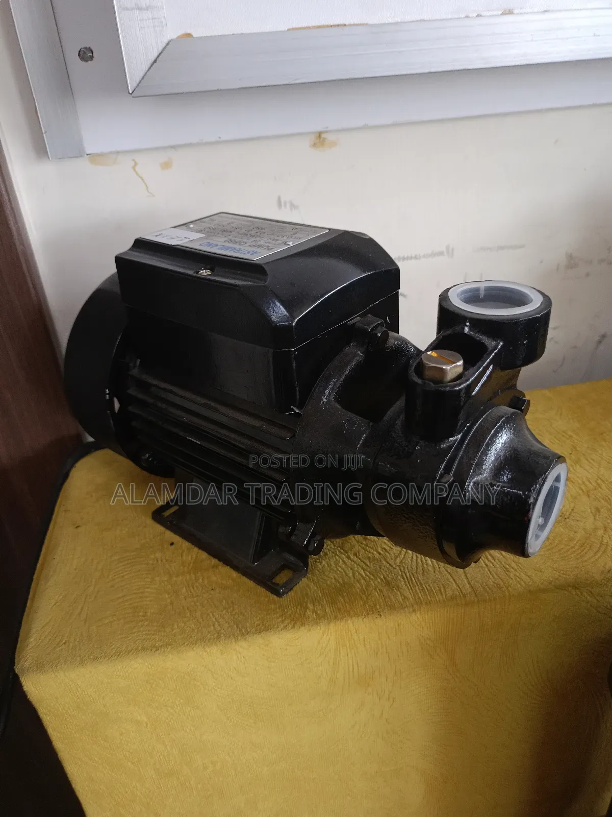 Booster Water Pump