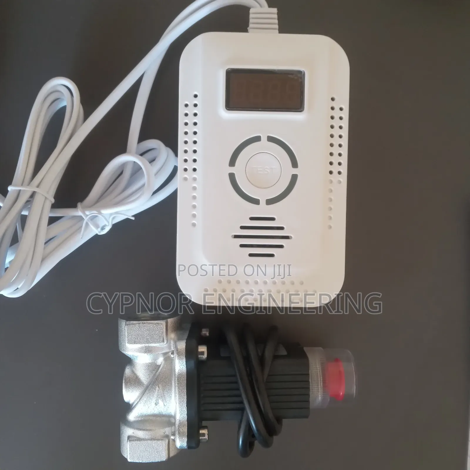 Gas Leekage Detector for Airbnb Safety