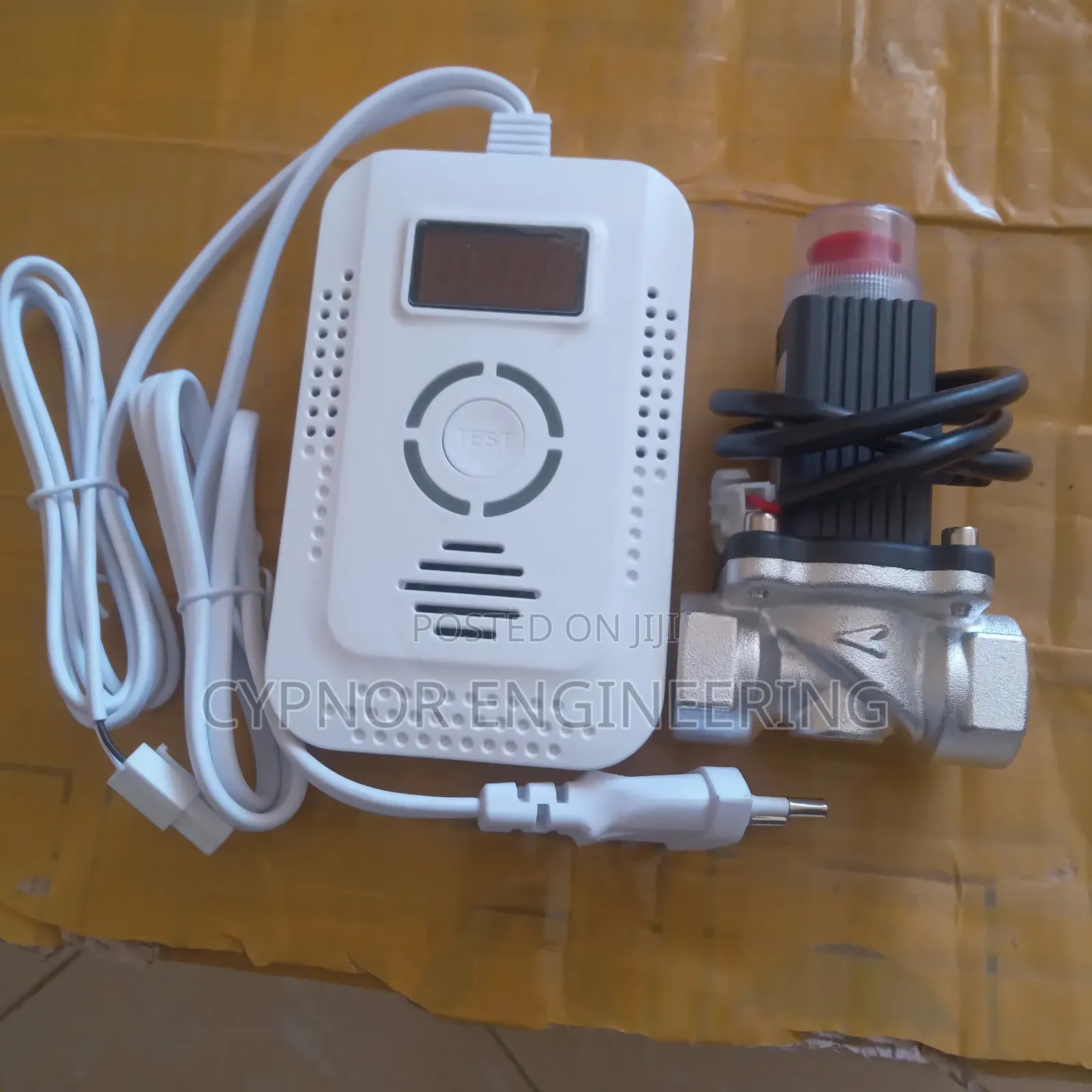 LPG Gas Leak Detector for Factories