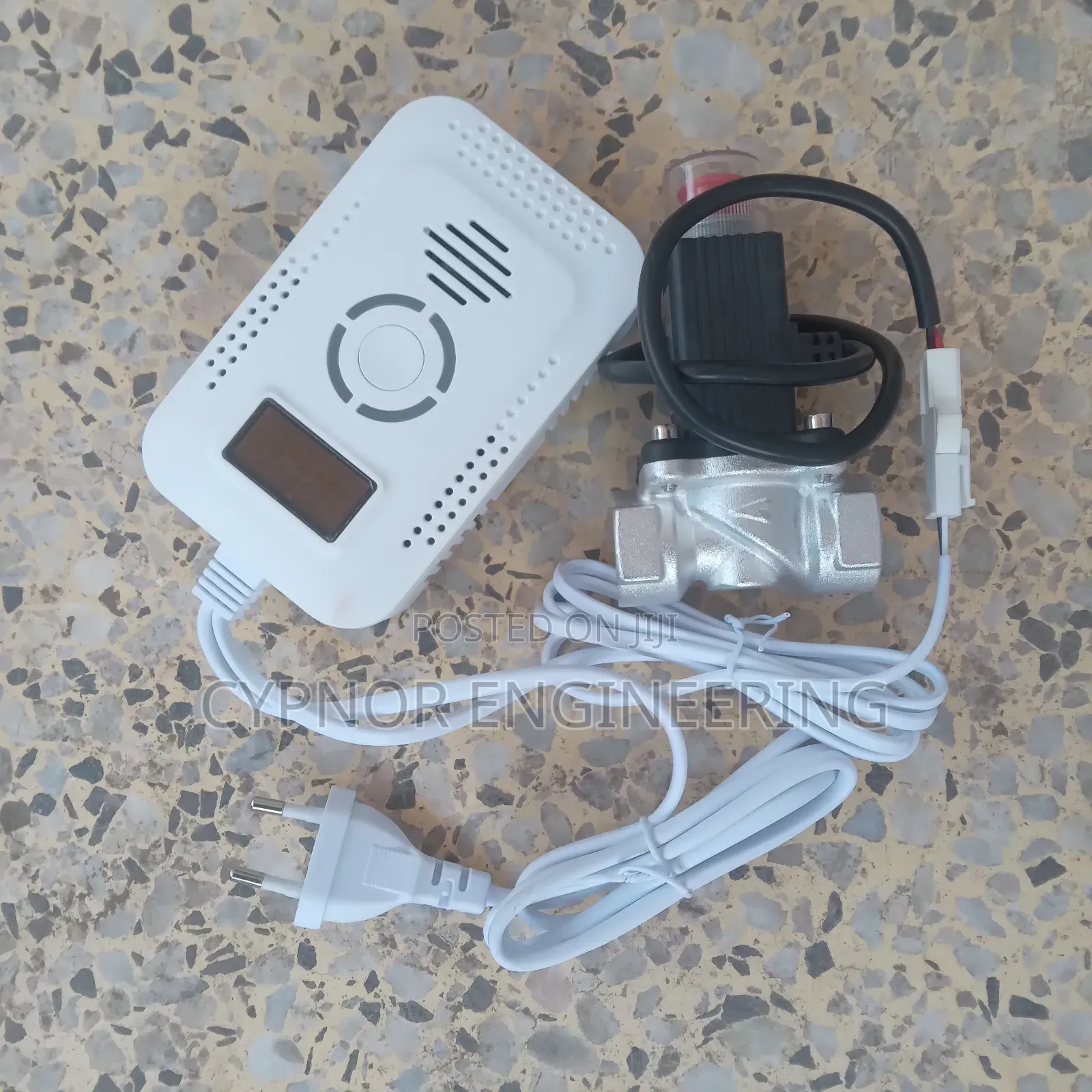 Factory Gas Leak Sensor With Alarm