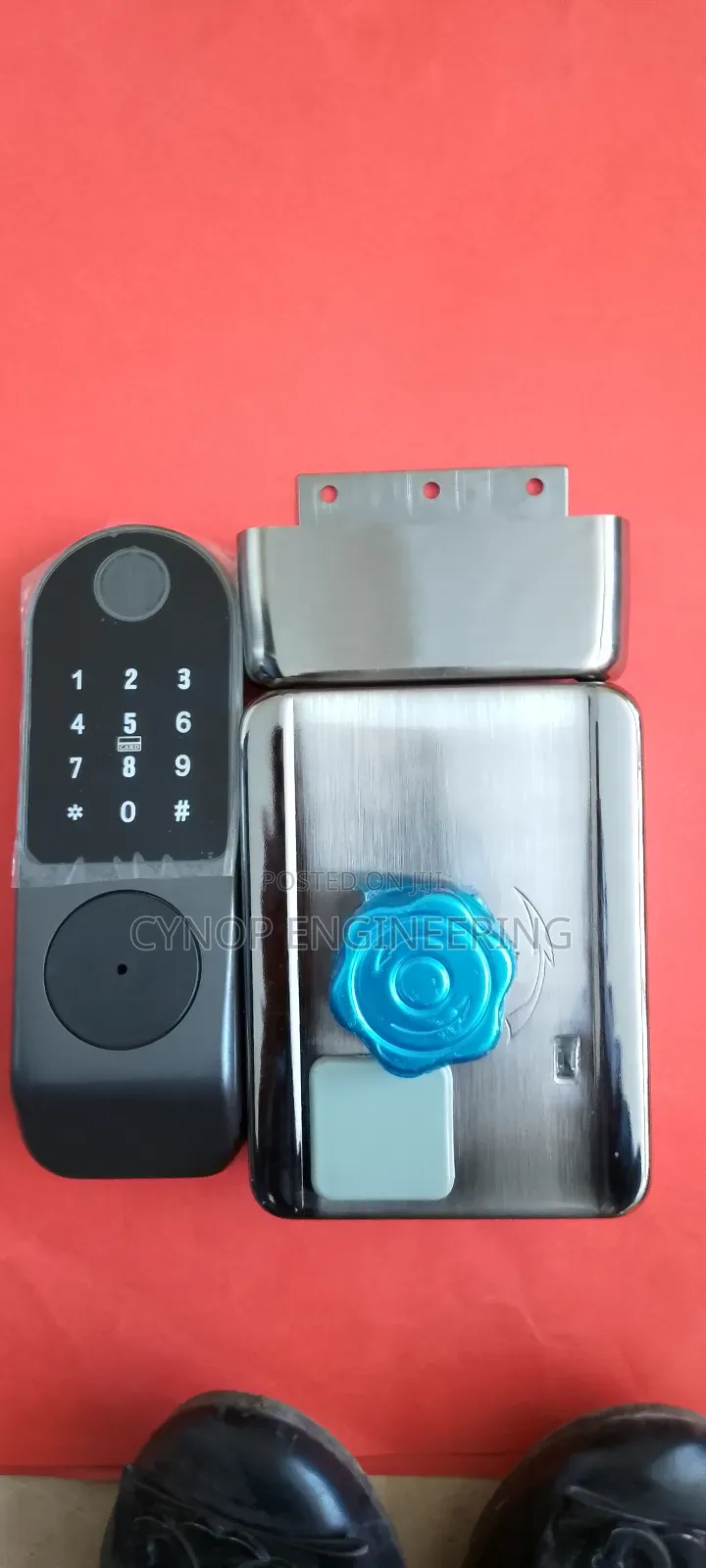 Advanced Biometric Smart Locks for Homes