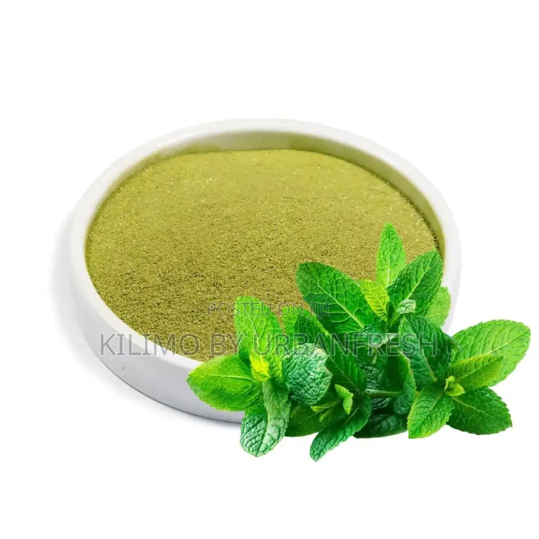 Mint Powder 500g
