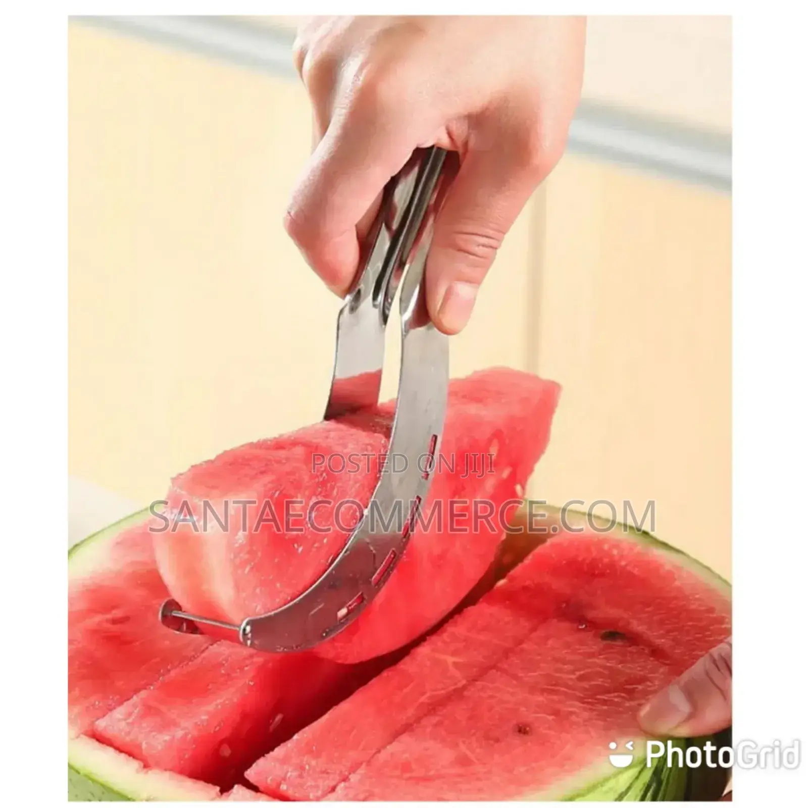 Stainless Steel Melon Cutter