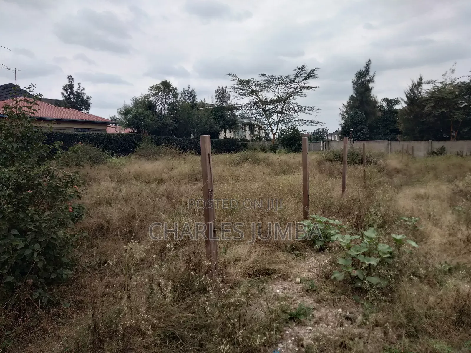 Sabaki Plot for Sale