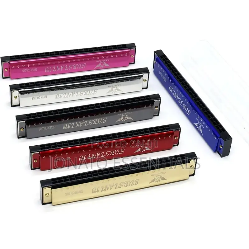 24 Hole Professional Harmonica