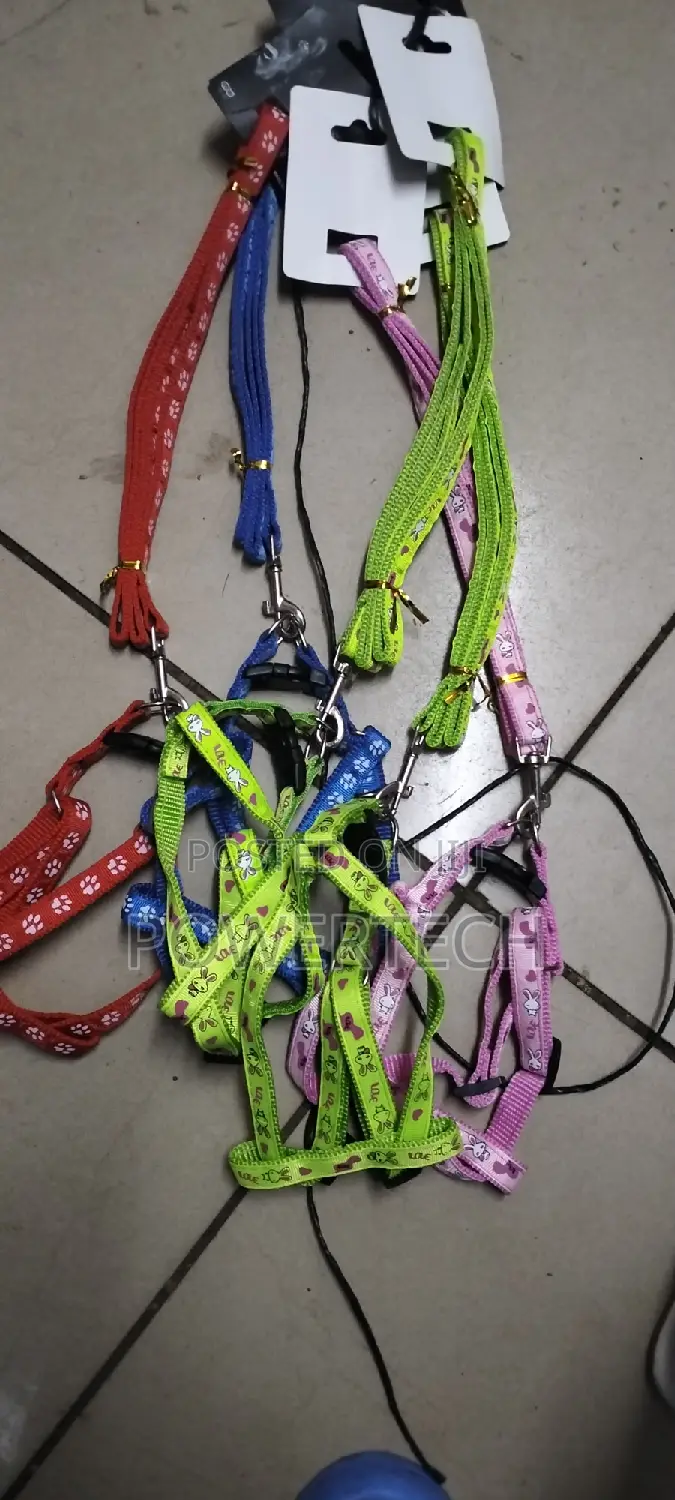 Small Dog Leash/Cat Leash