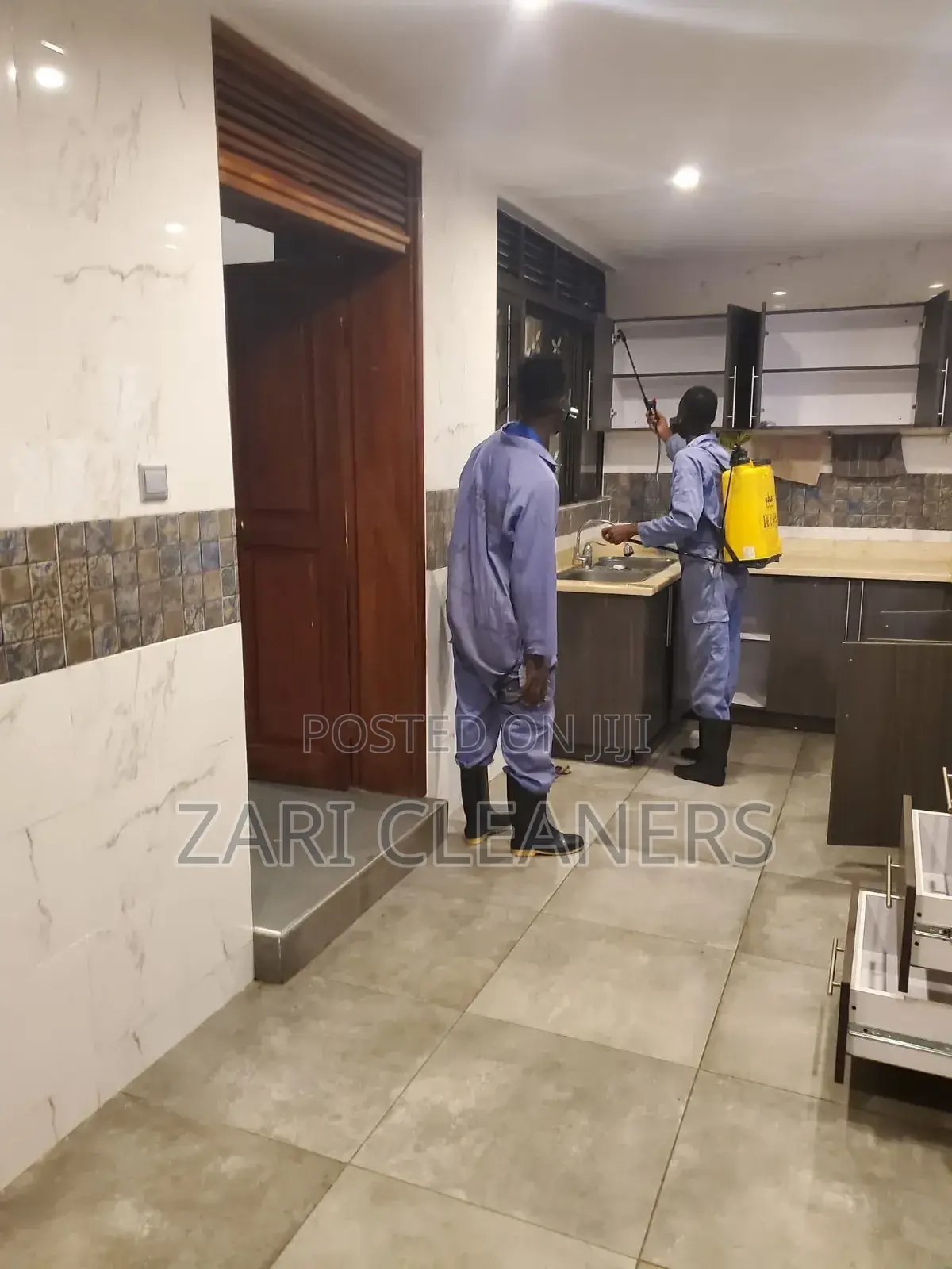 Comprehensive Fumigation Solutions for Bedbugs