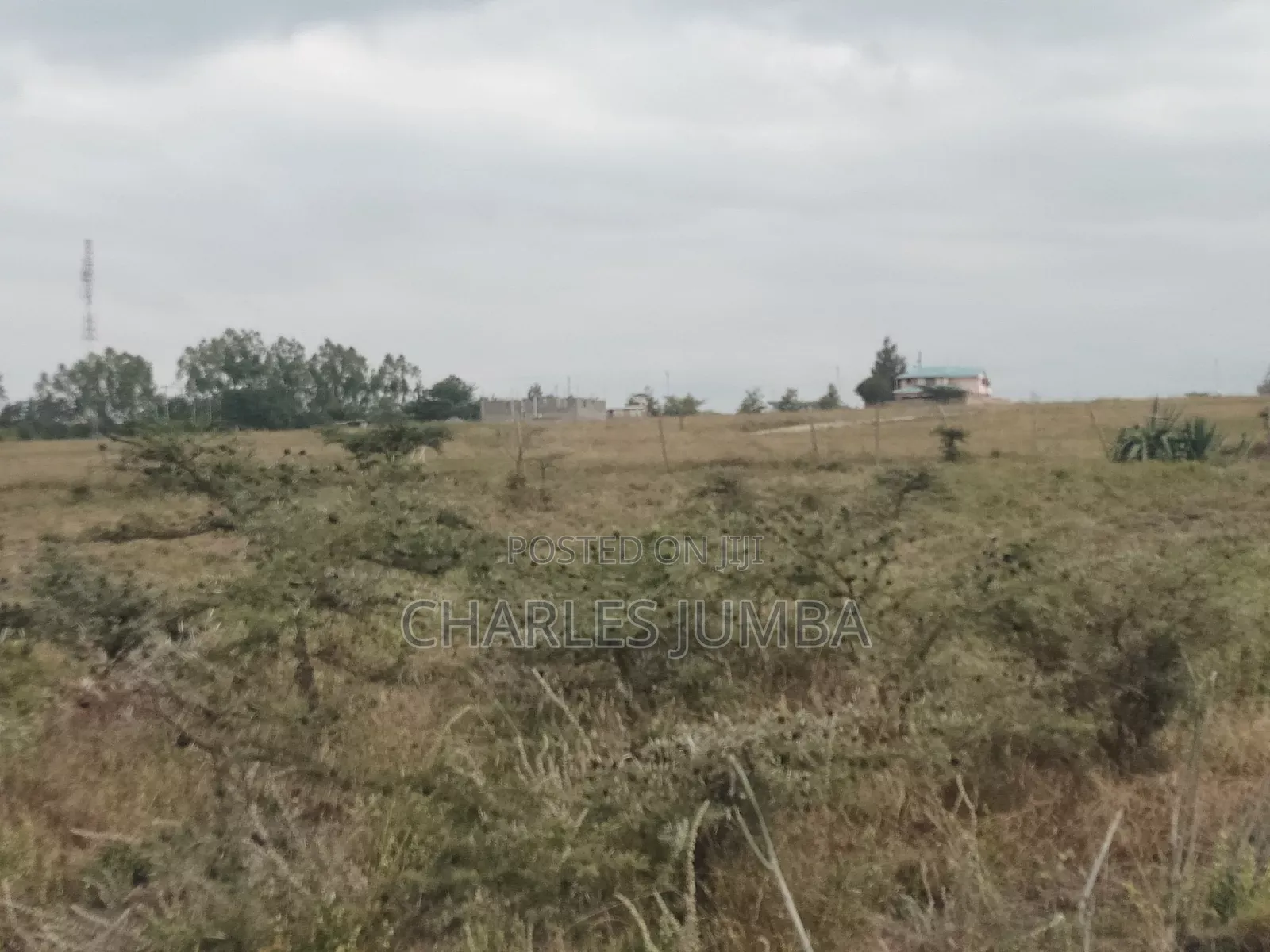Acacia Plots for Sale