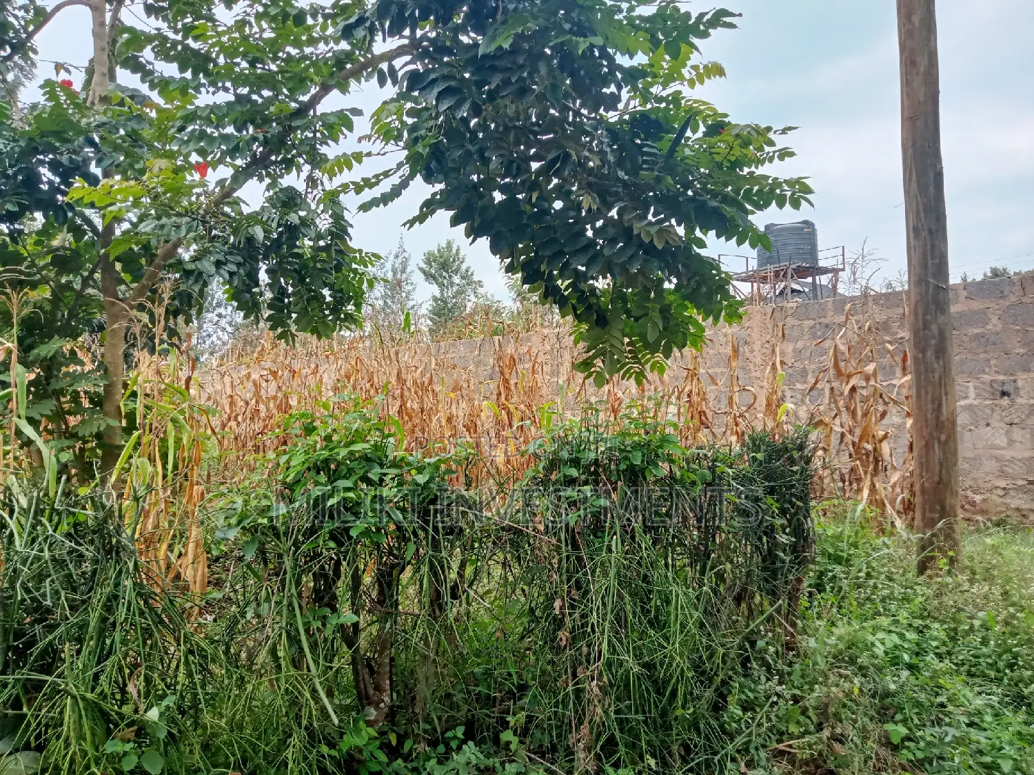 50 by 100 Plot on Sale at Sabasaba