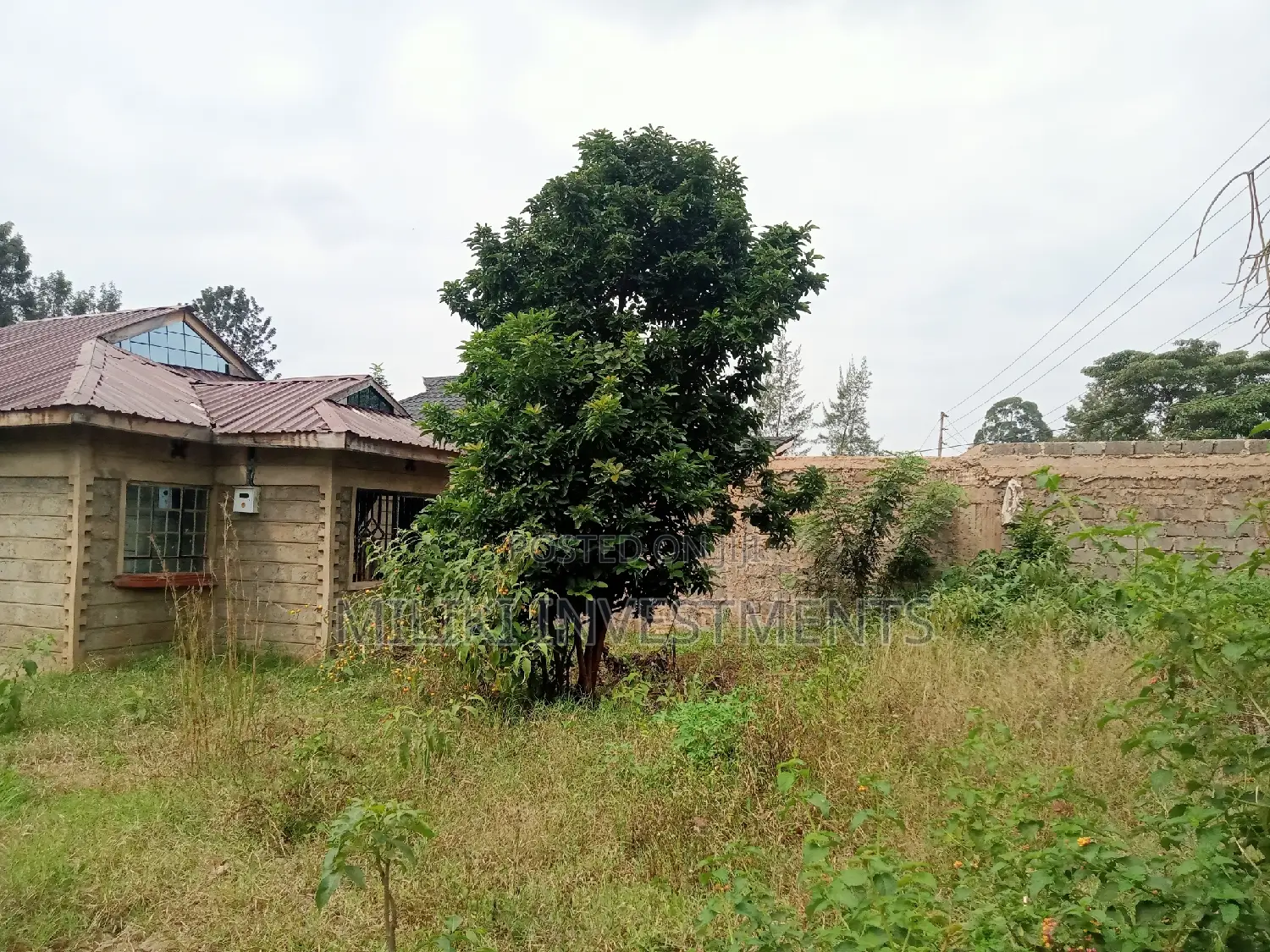 50 by 100 Plot on Sale at Sabasaba