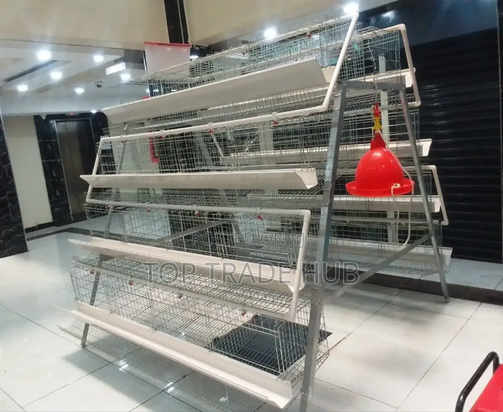 Quality Layer Chicken Cages 128 Chicken Capacity