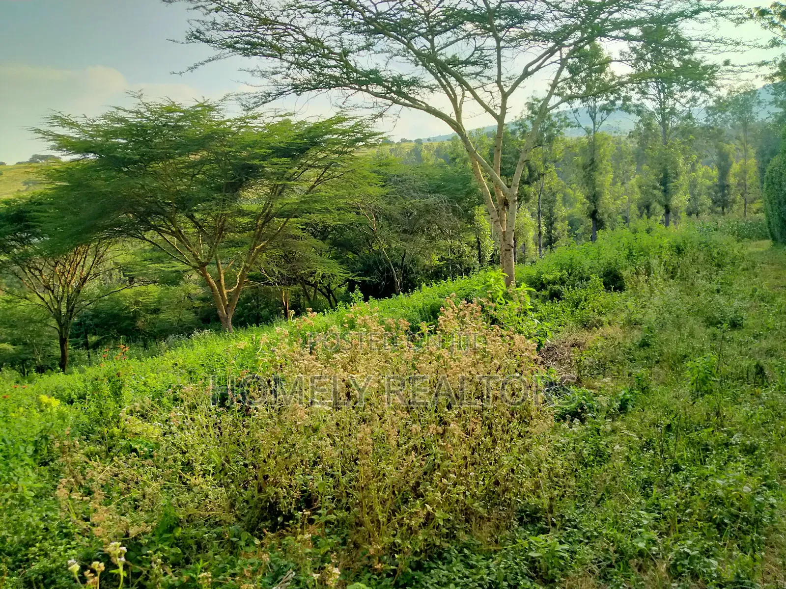Eighth Acre Plot in Kiserian Along Magadi Rd at St. Patricks