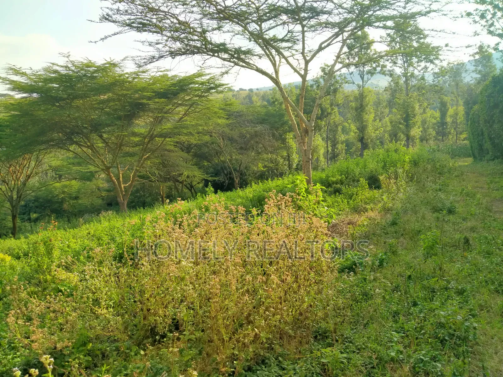Eighth Acre Plot in Kiserian Along Magadi Rd at St. Patricks
