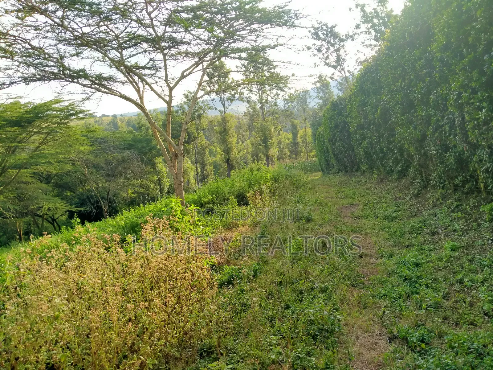 Eighth Acre Plot in Kiserian Along Magadi Rd at St. Patricks
