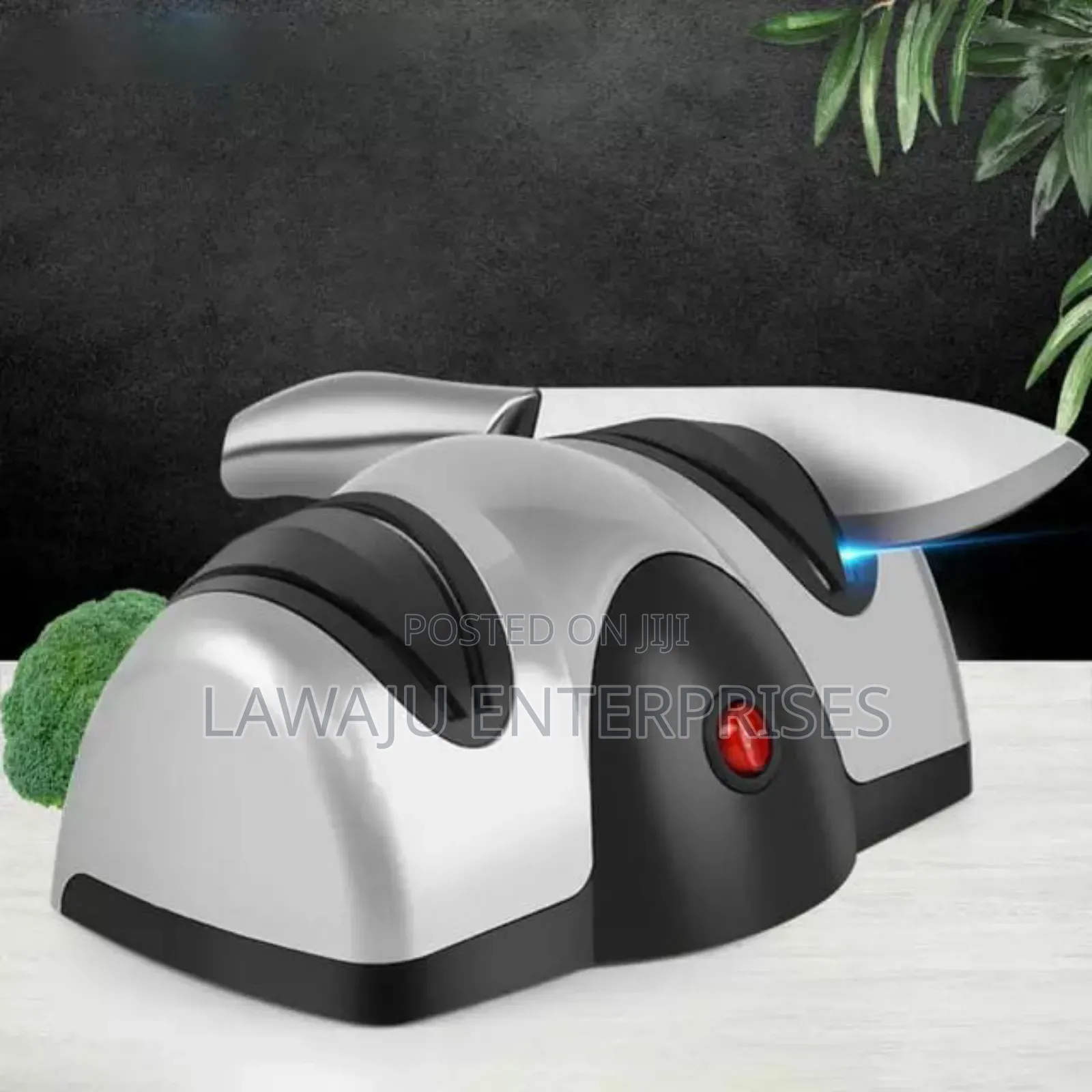 Professional Kitchen Knife Sharpener