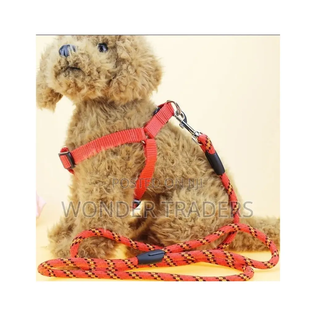 Dog Leash With Harness