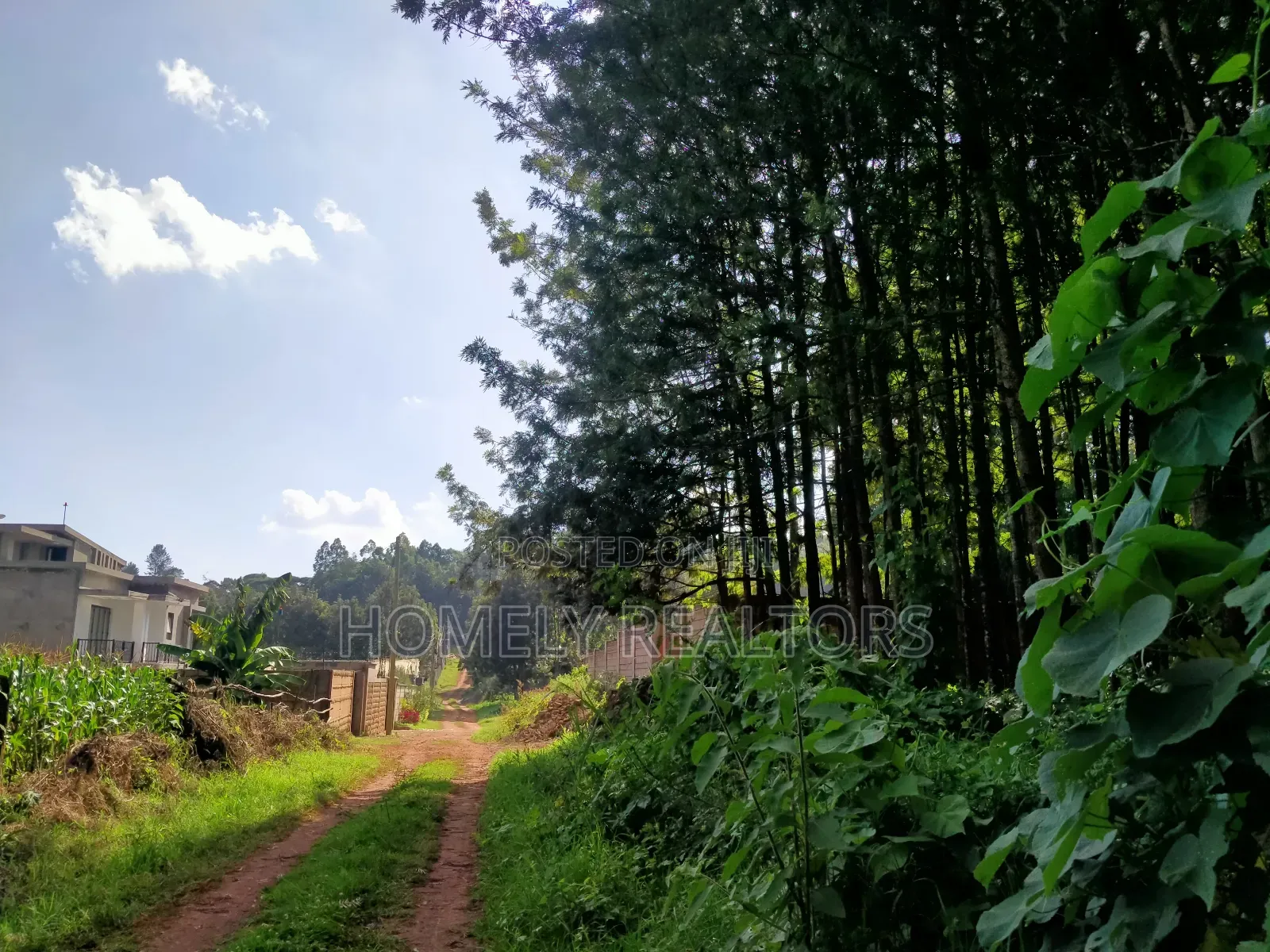 Residential Eighth Acre Plot in Kikuyu, Ondiri Near Tarmac