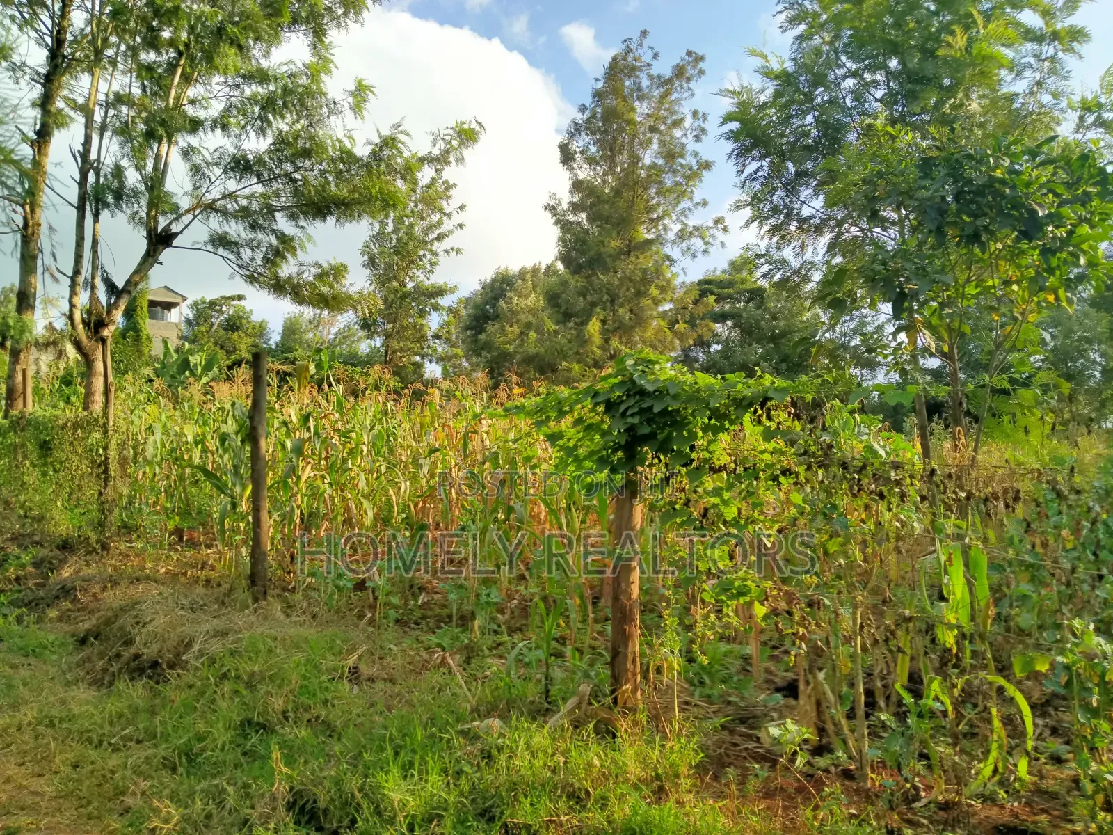 Residential Quarter Acre Plot in Ngong Lemiso Rd