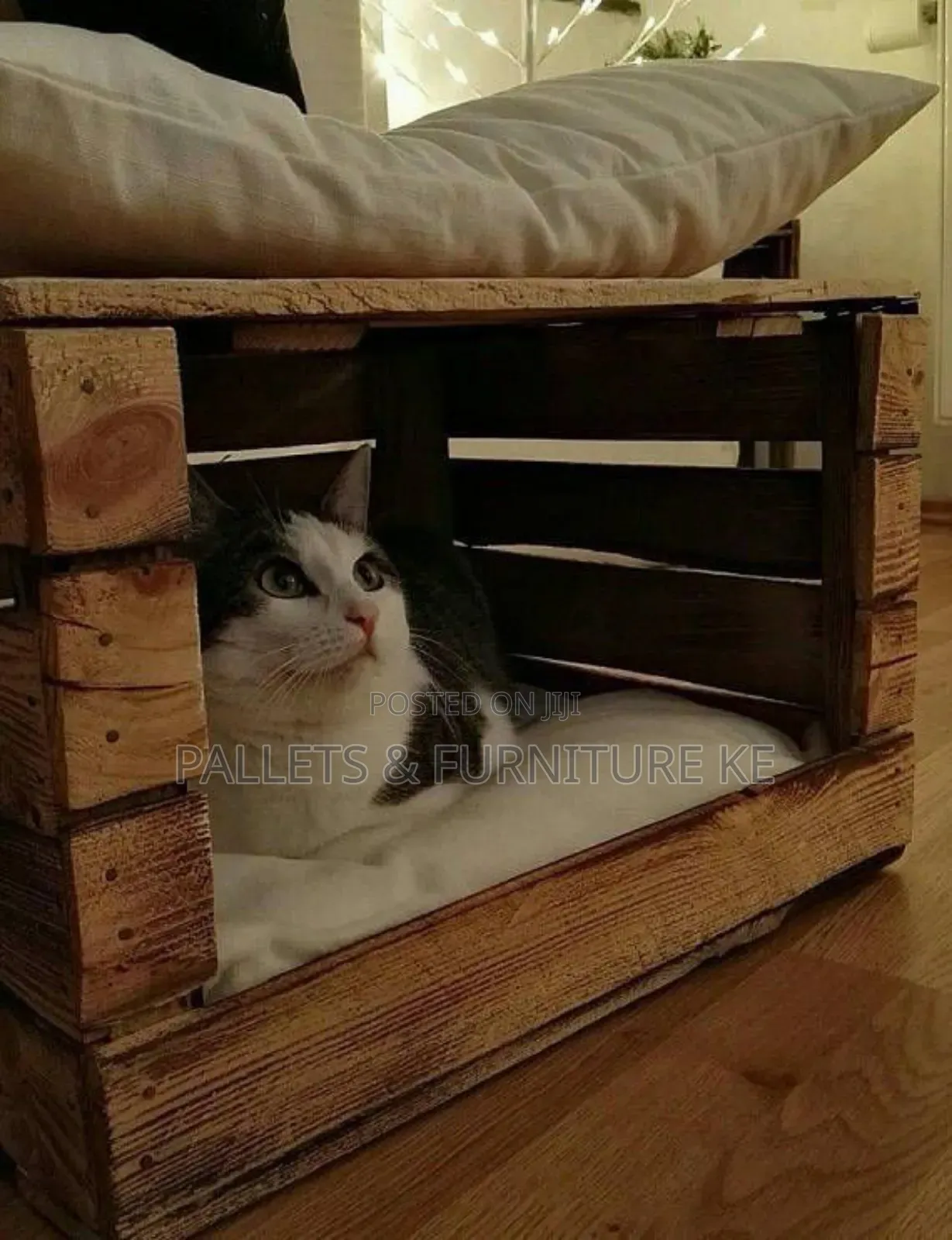 Cat House With Pillows