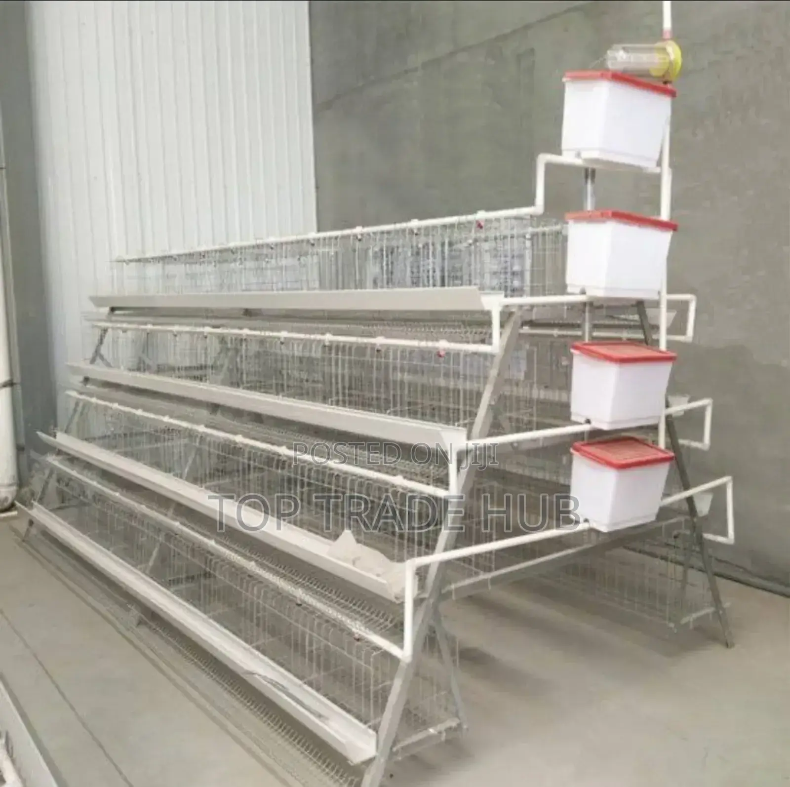Galvanized Poultry Cages 160 Layers Capacity