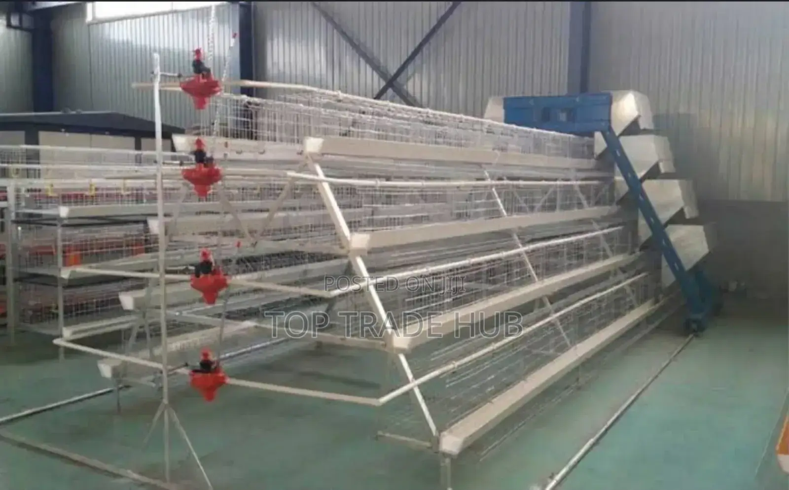 Durable Chicken Cages With 160 Layer Capacity