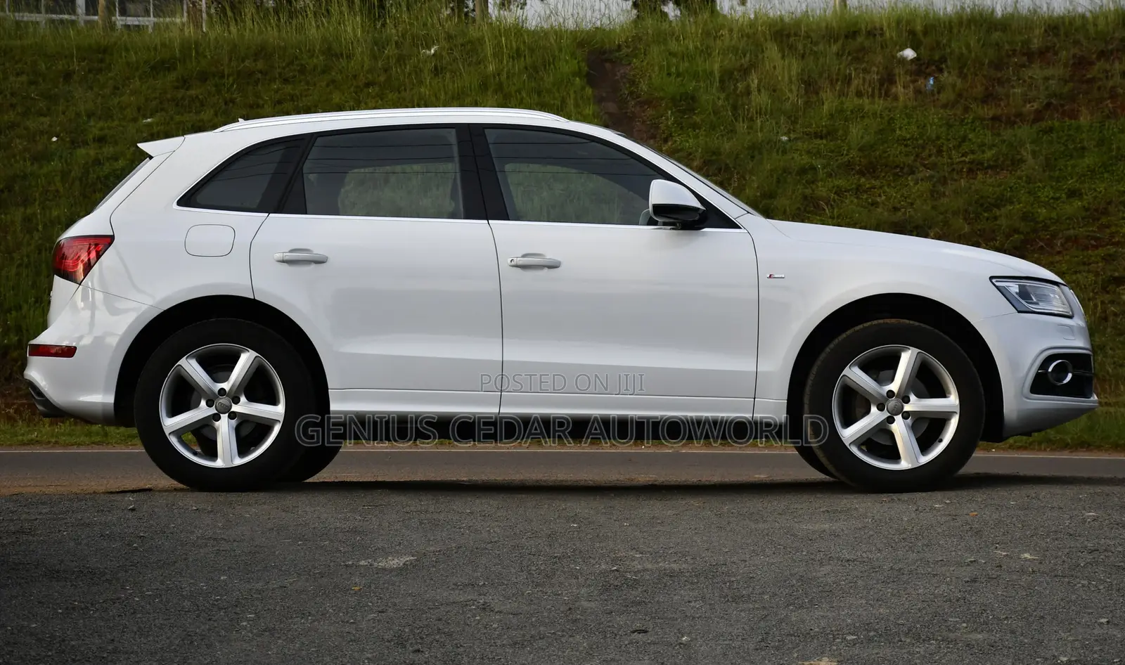 Audi Q5 2016 White