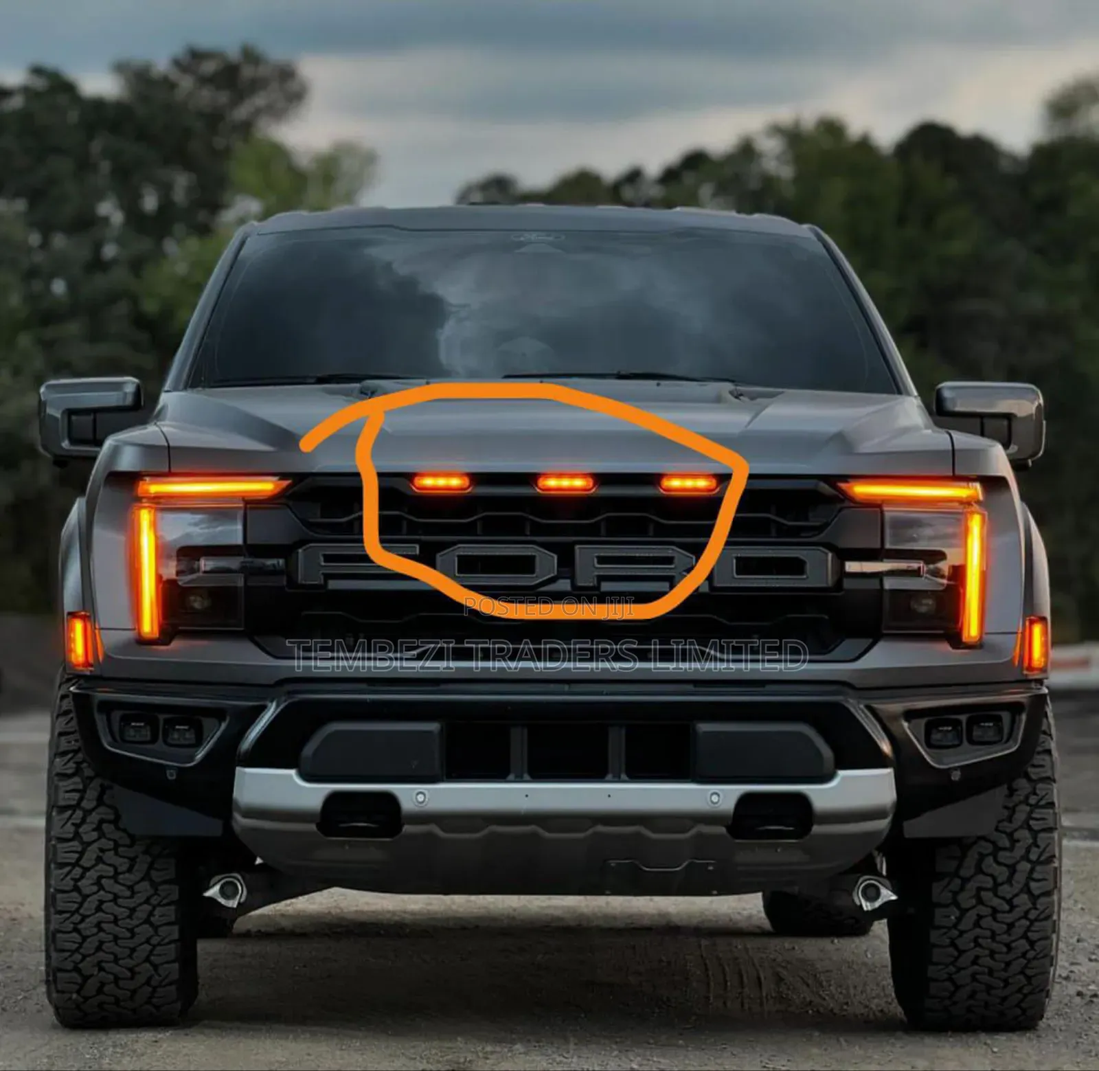Universal Grill Lights