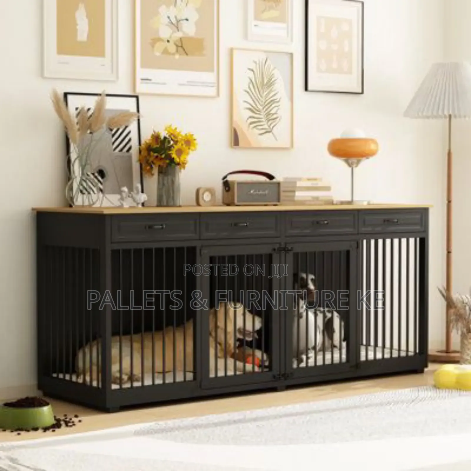 Black Dog House