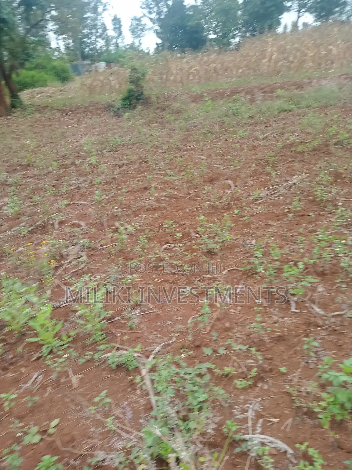 40 by 80 Plots on Sale at Kenol-Zabka