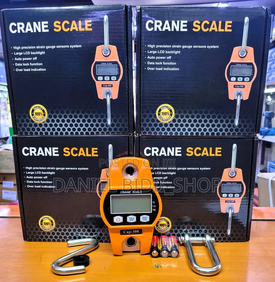 300kg Crane Scale