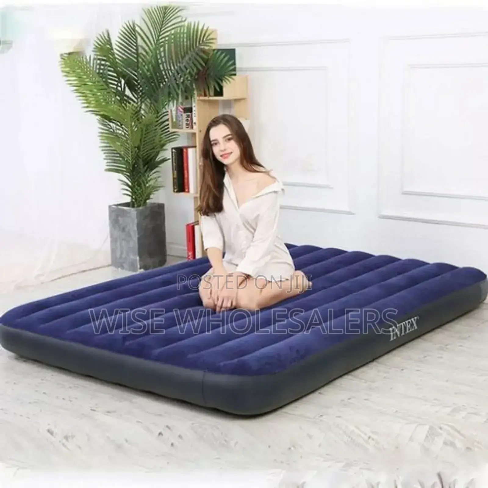 Intex 3 by 6 Inflatable Mattress* 