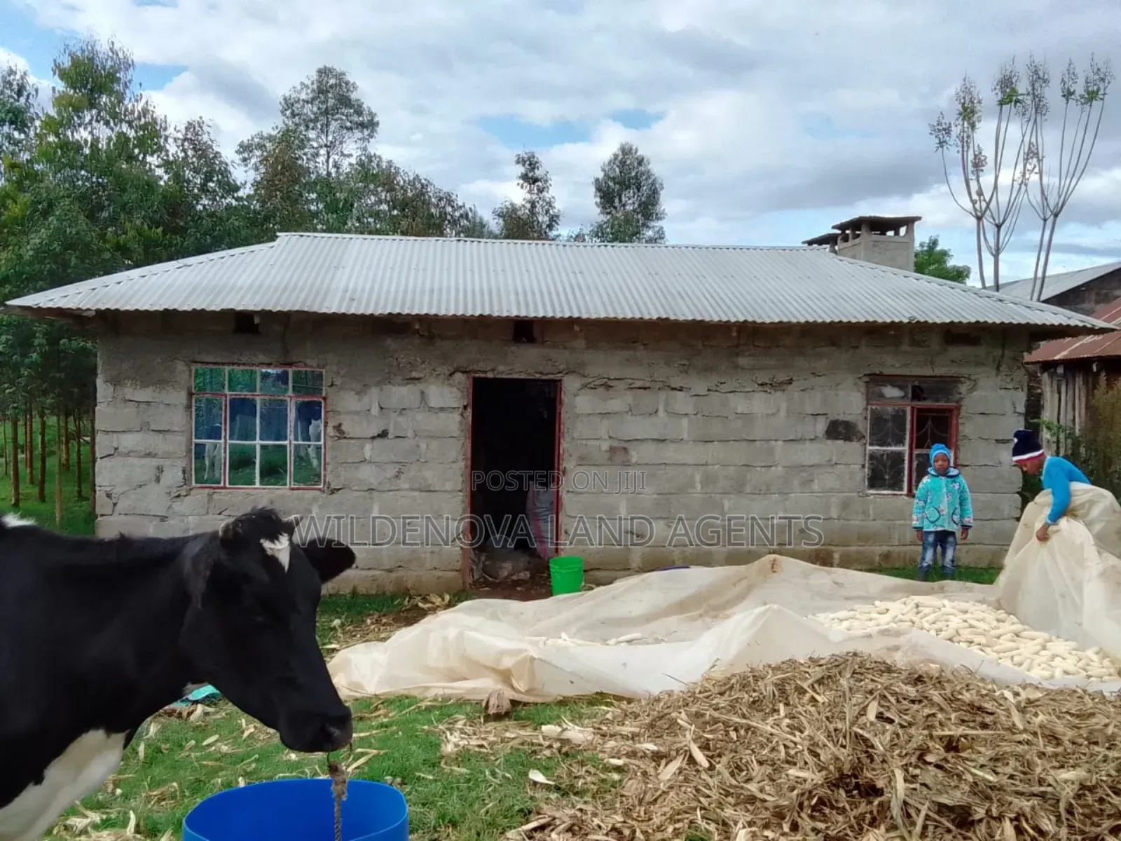 1/4 Acre With House Structure on Sale at Kinangop Eginear