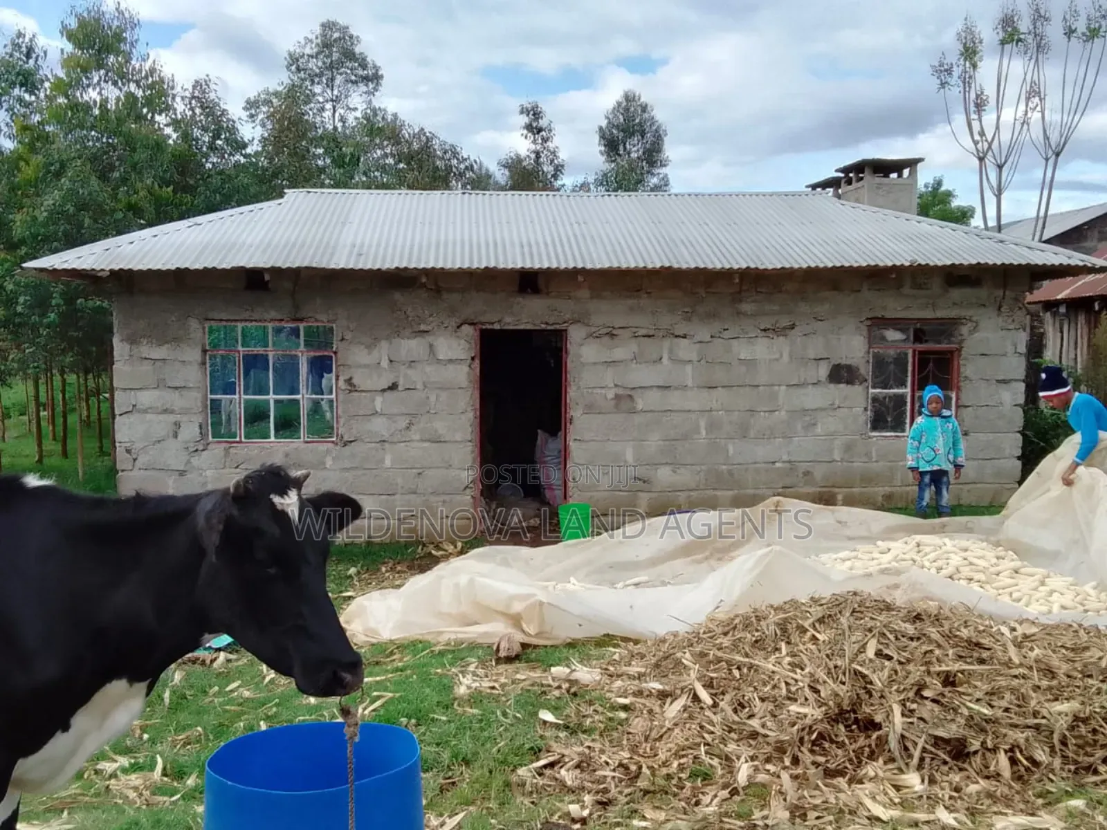 1/4 Acre With House Structure on Sale at Kinangop Eginear