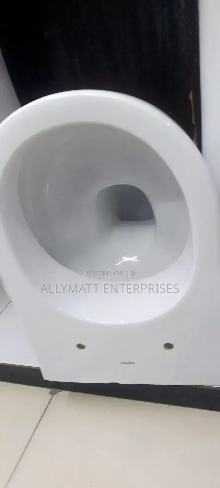 Oval Back to Wall Toilet