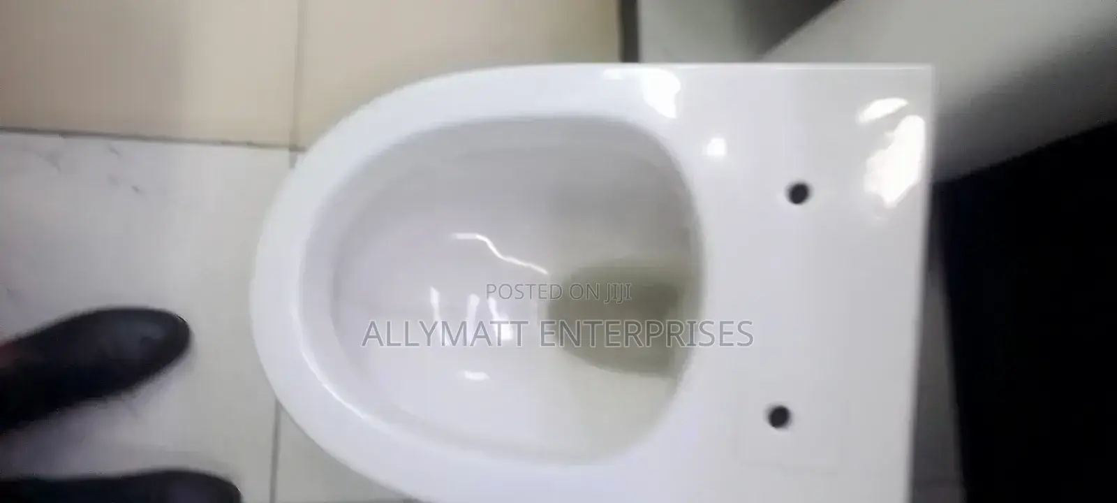 Oval Back to Wall Toilet