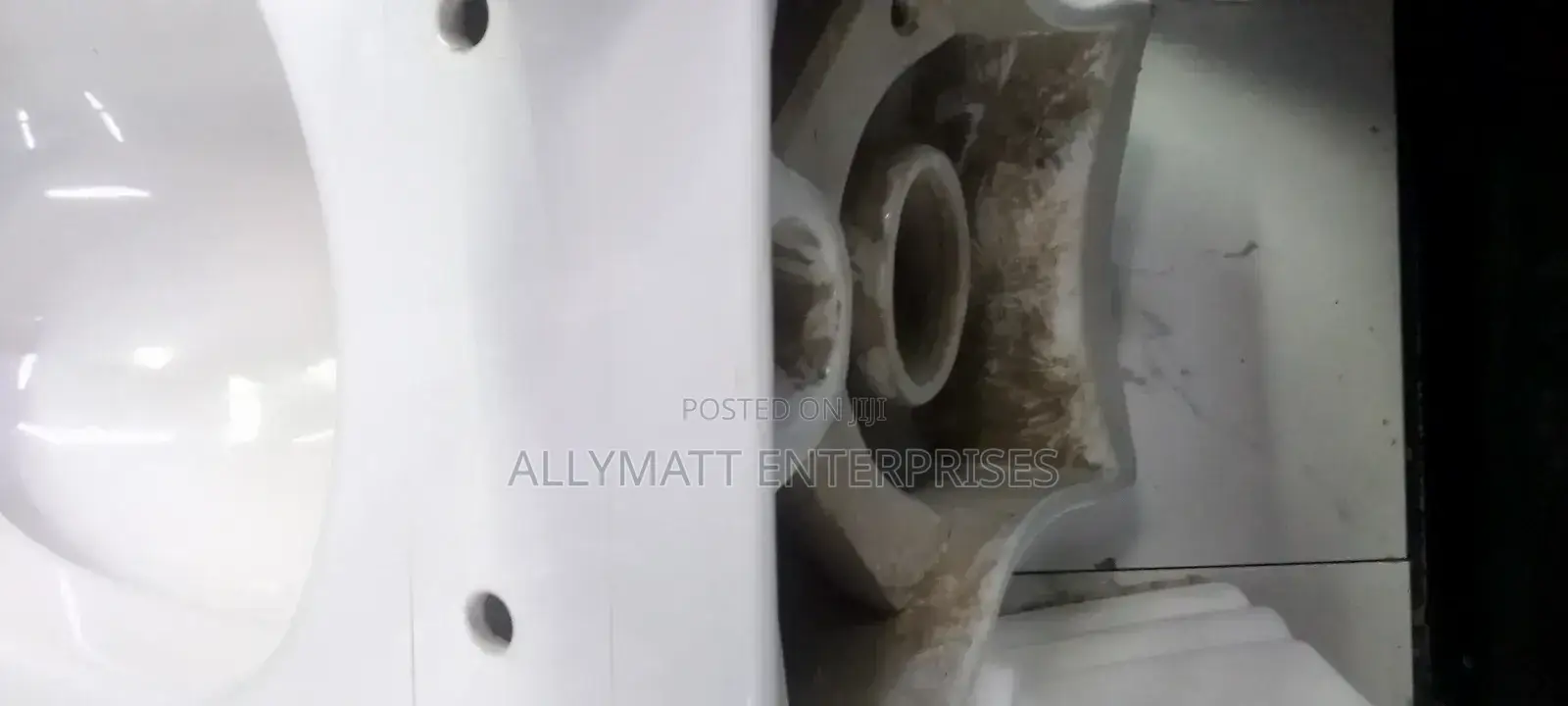 Oval Back to Wall Toilet