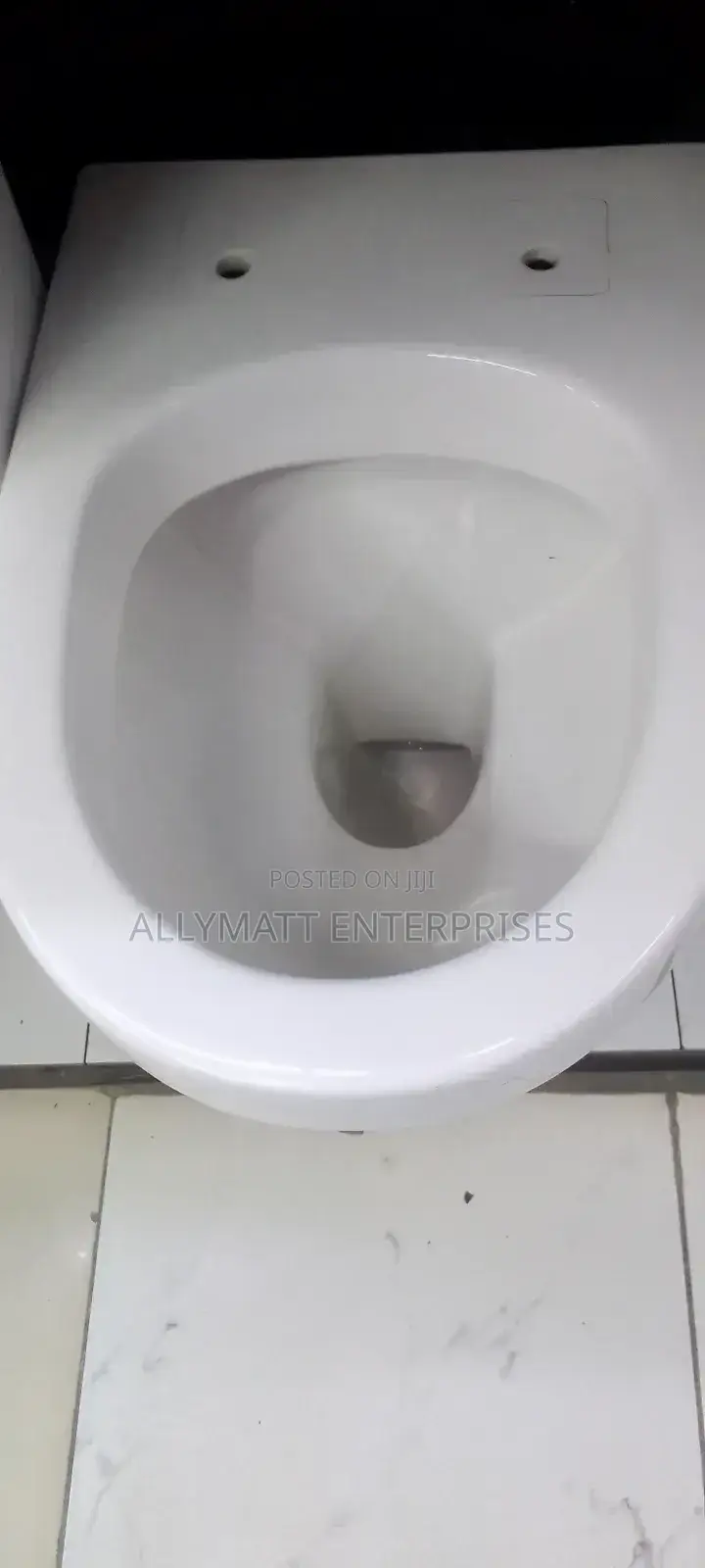 Oval Back to Wall Toilet