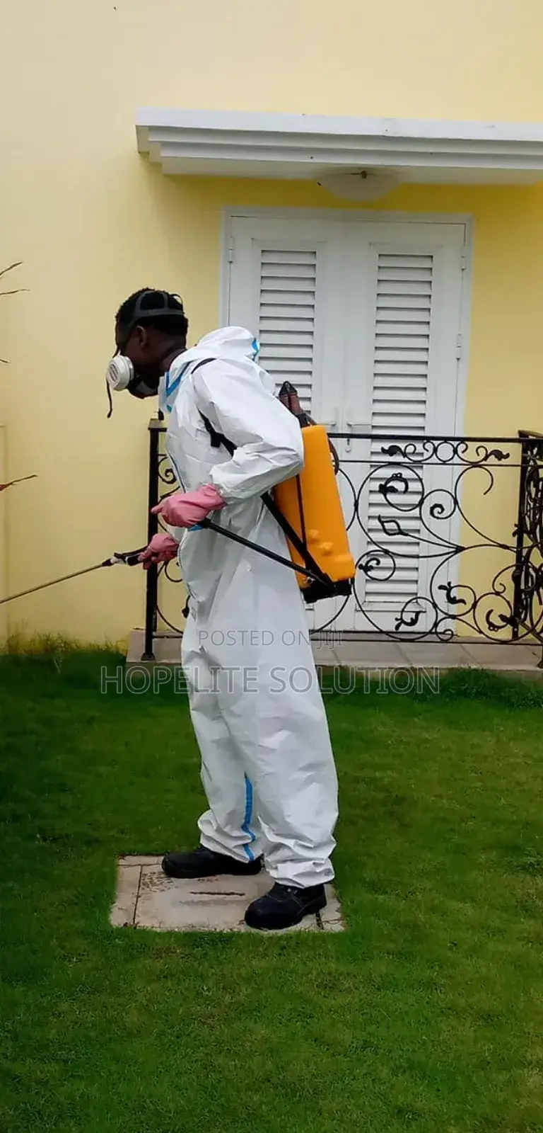 Cockroaches and Bedbugs Elimination Nearby