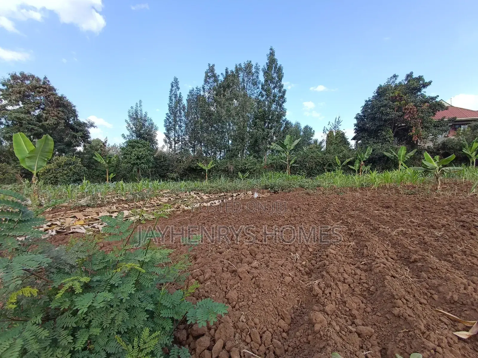 1/2 Acre Plot for Sale in Ghorofani, Kasarani