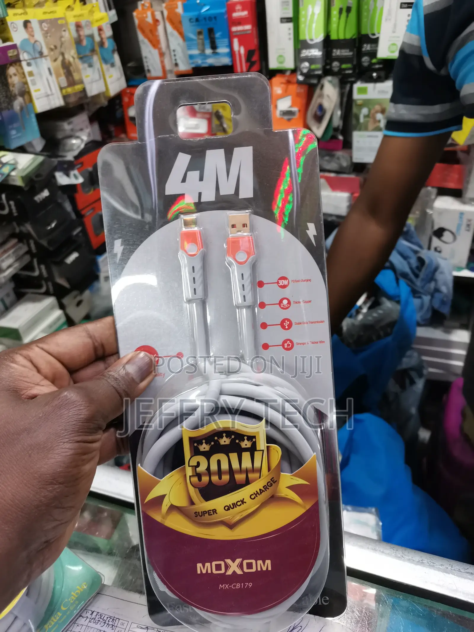 30 Watts Type C Data Cable - Type C (4m)