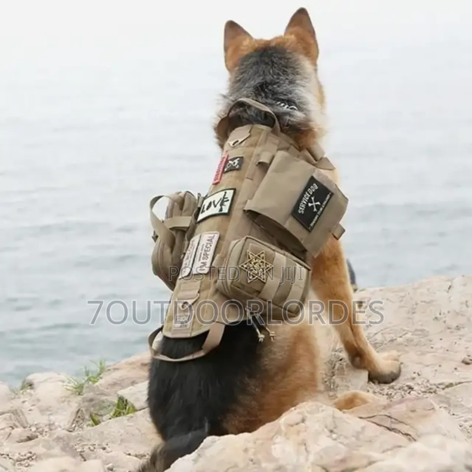 Dog Harness With Mole System